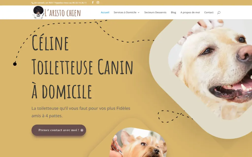 Site de toilettage canin à domicile L’Aristo Chien : Céline sur fond moutarde, avec des photos de chiens